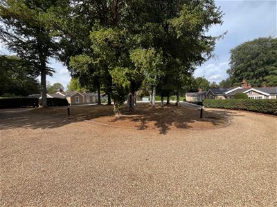 Picture 19